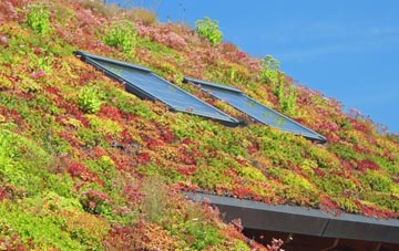 Tilston living roof systems
